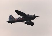 Westland Lysander
