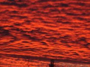 Red Sky