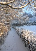 Snow Scene 2