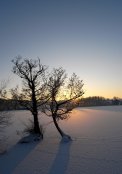 Snow Scene 3