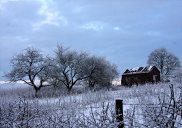 Snow Scene