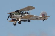 Swordfish