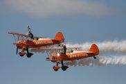 Wing Walkers